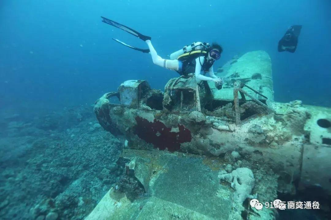 黑龙江省文旅厅发布新年感谢信：2023年实现旅游收入2215.3亿元